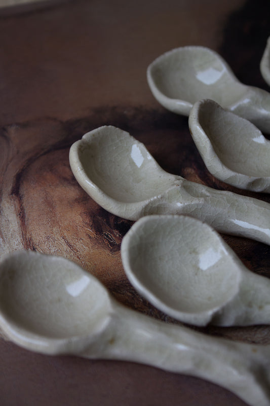 Rustic Ceramic Spoons (Set of 5)